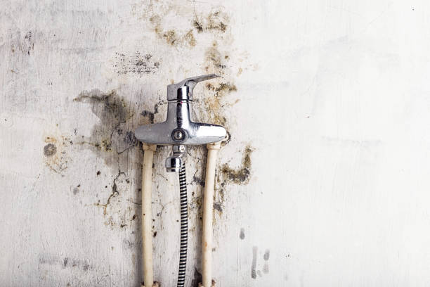 Best Water Damage Restoration  in Collinsburg, PA