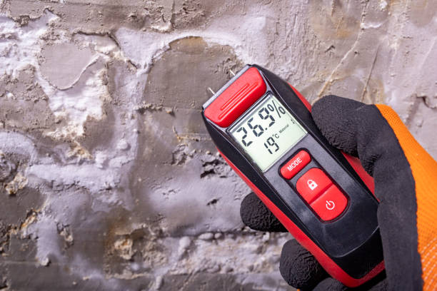 Best Commercial Mold Removal  in Collinsburg, PA