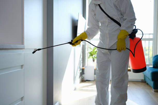 Best Commercial Mold Removal  in Collinsburg, PA