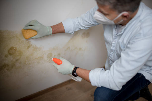 Water Damage Restoration in Collinsburg, PA
